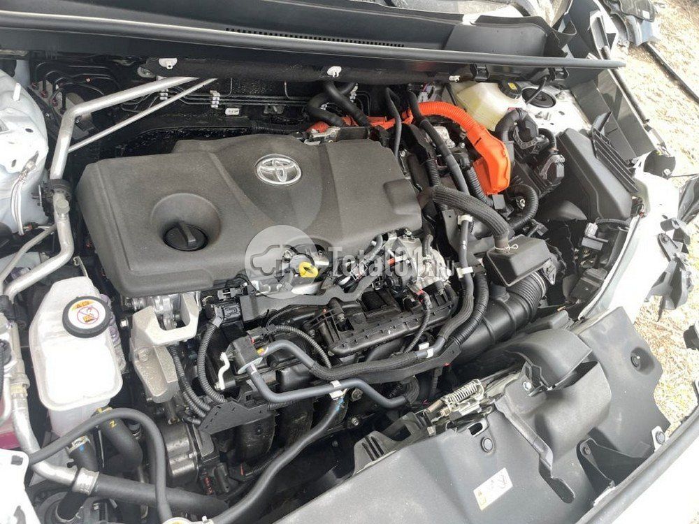 Фото Toyota RAV4 60