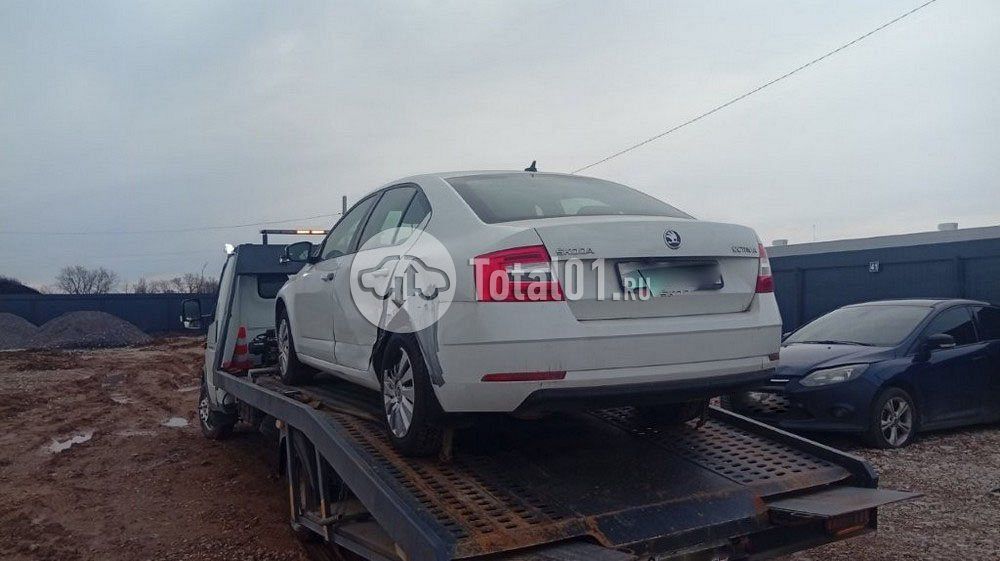 Фото Skoda Octavia 4