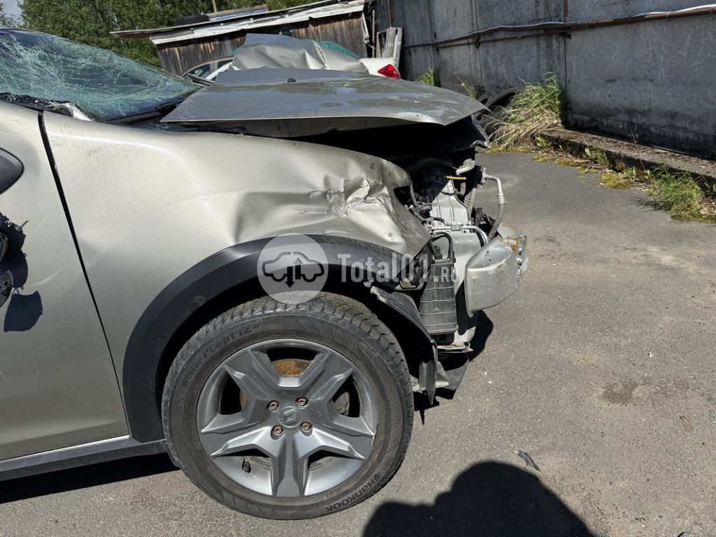 Фото Renault Sandero Stepway 58