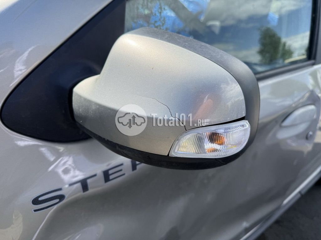 Фото Renault Sandero Stepway 134
