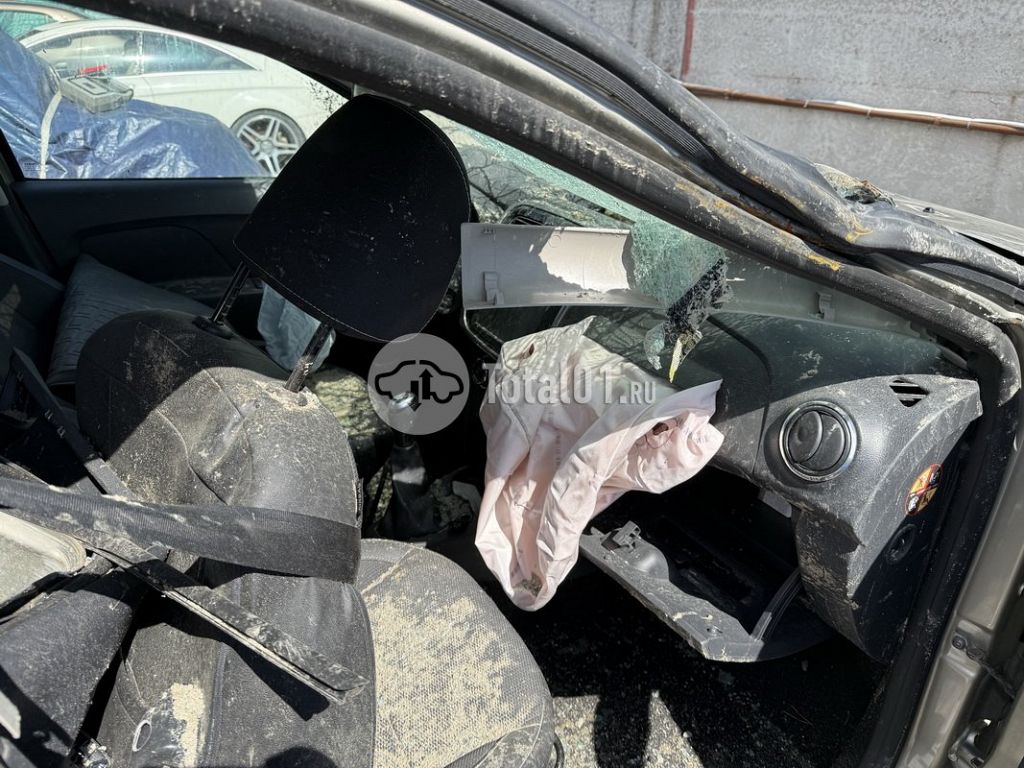 Фото Renault Sandero Stepway 142