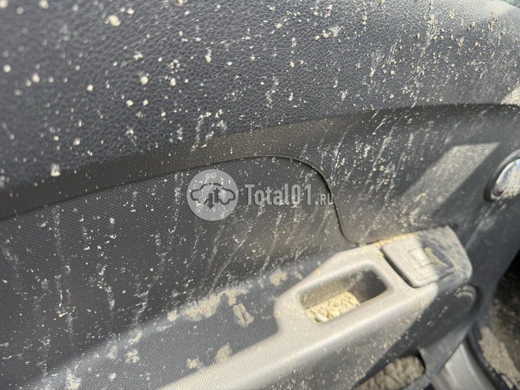 Фото Renault Sandero Stepway 182