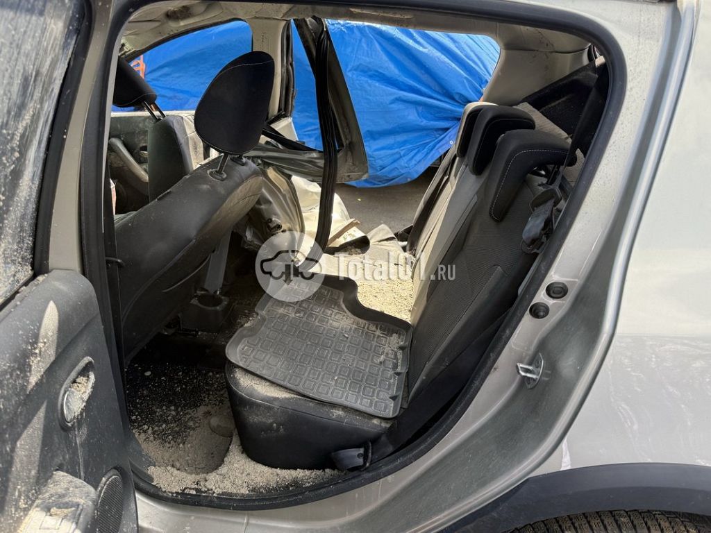 Фото Renault Sandero Stepway 184