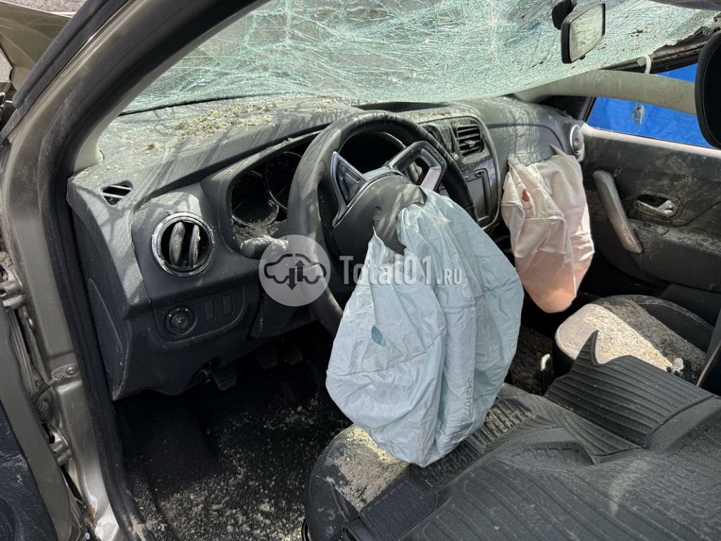 Фото Renault Sandero Stepway 196