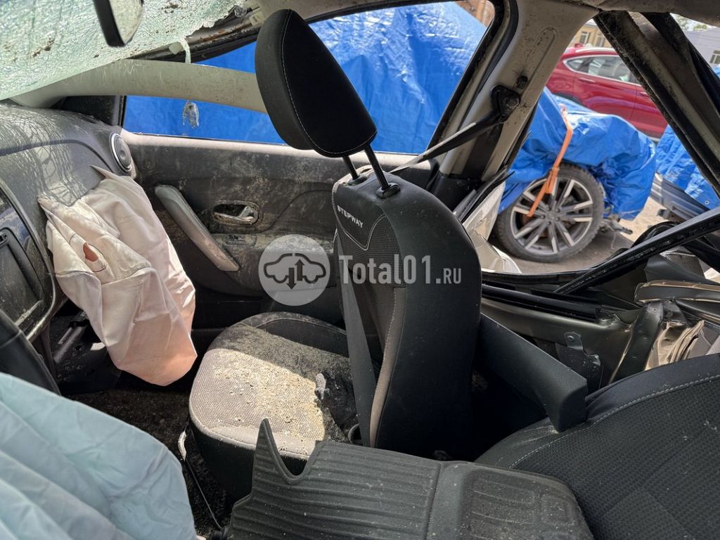 Фото Renault Sandero Stepway 204
