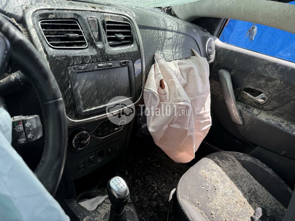Фото Renault Sandero Stepway 206