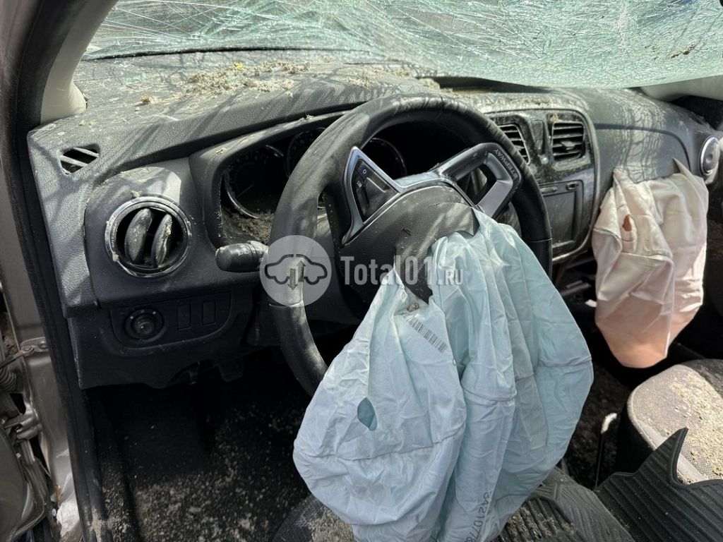 Фото Renault Sandero Stepway 210