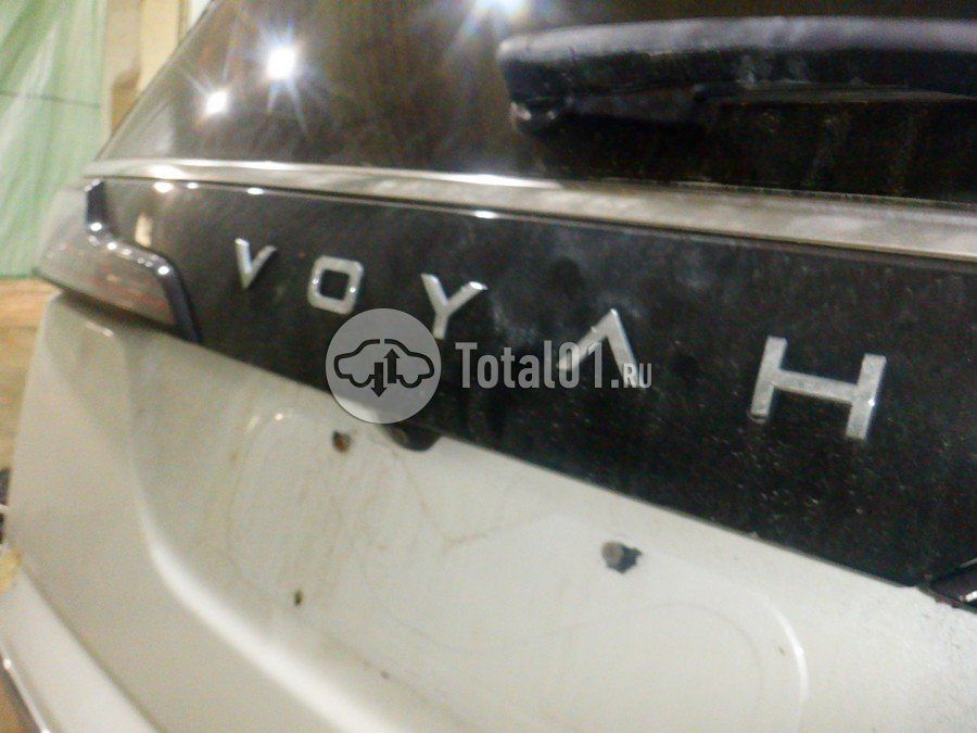 Фото Voyah DREAM EVR 166