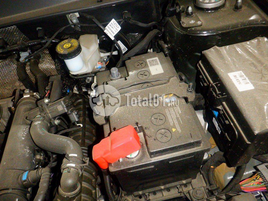 Фото Tenet T4 210