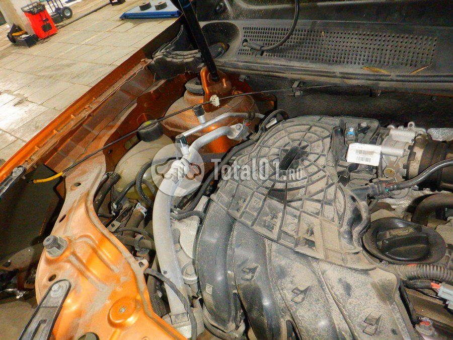 Фото Renault Duster 294
