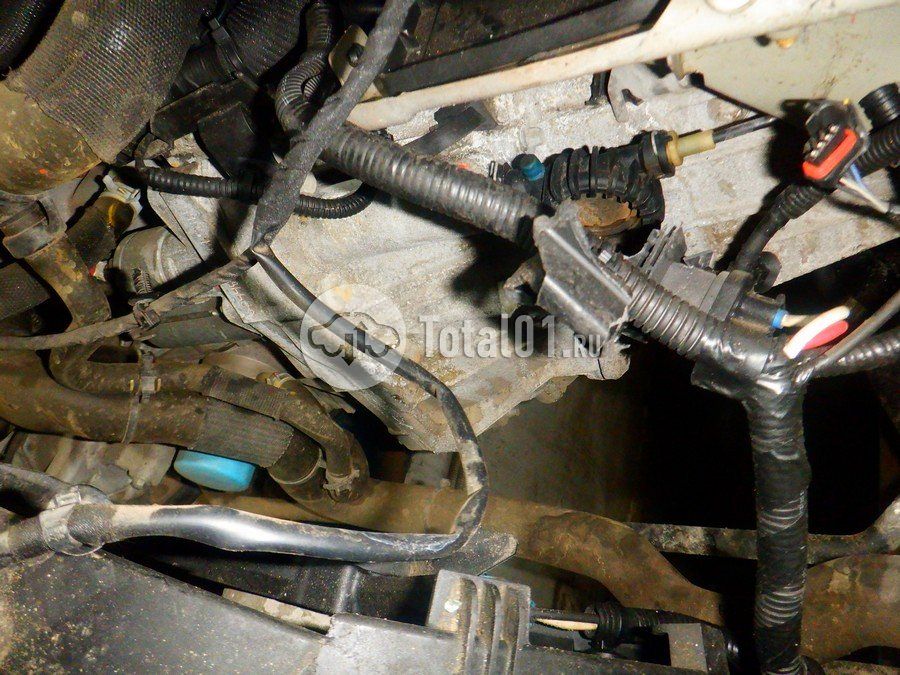 Фото Renault Duster 308