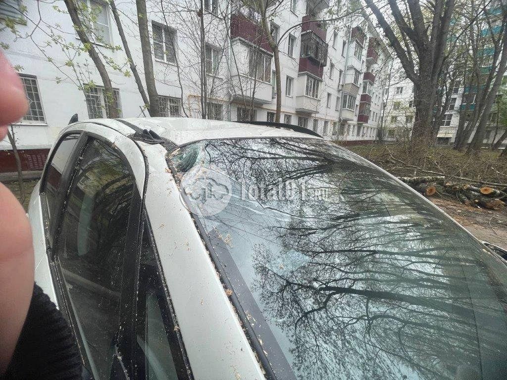 Фото Suzuki SX4 8