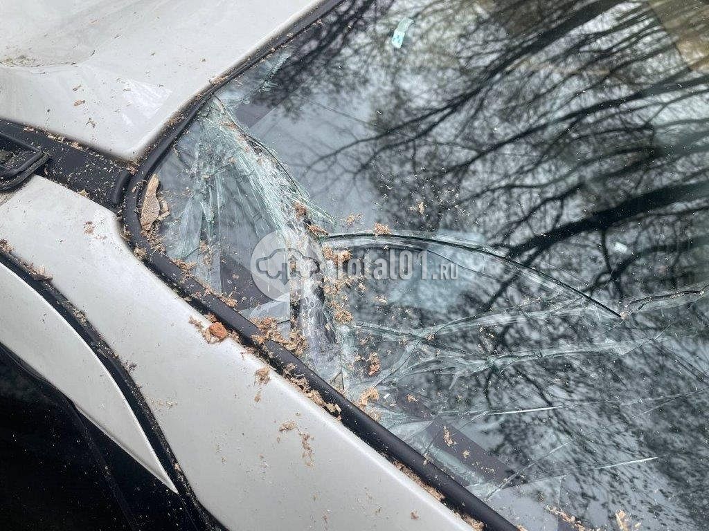 Фото Suzuki SX4 82