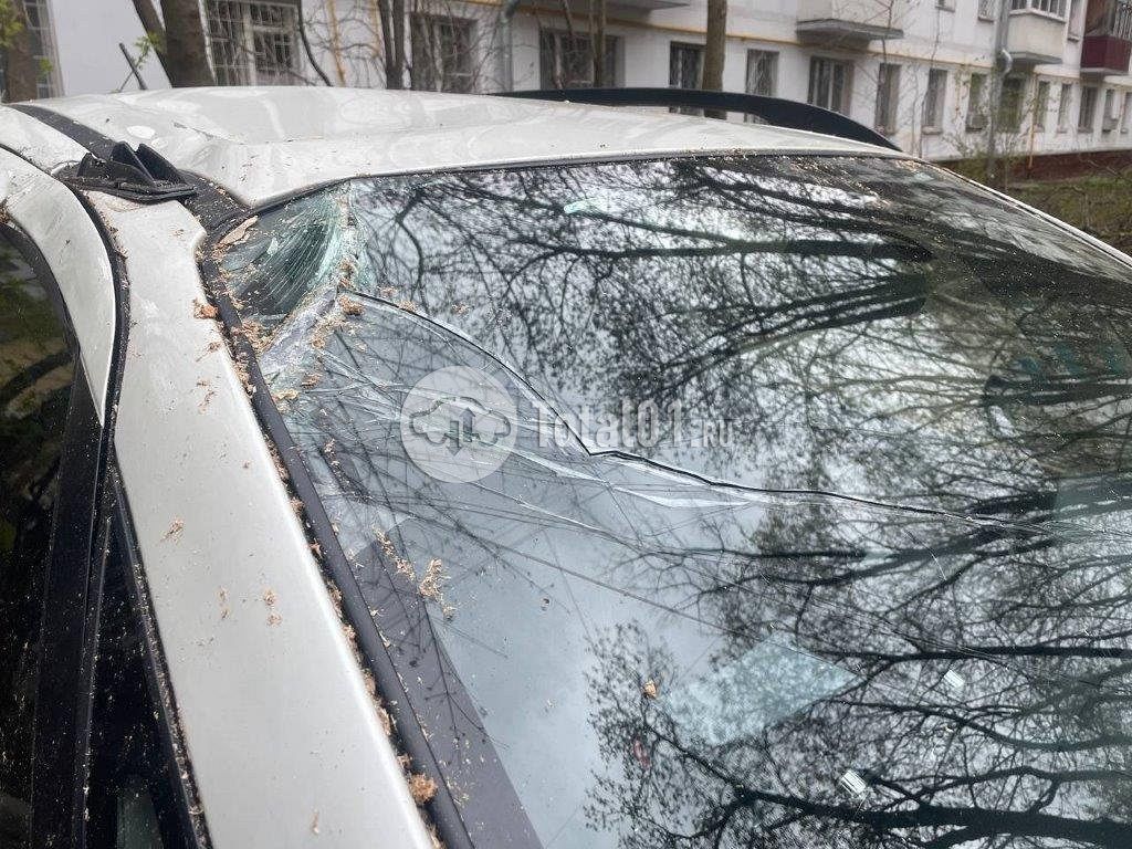 Фото Suzuki SX4 100