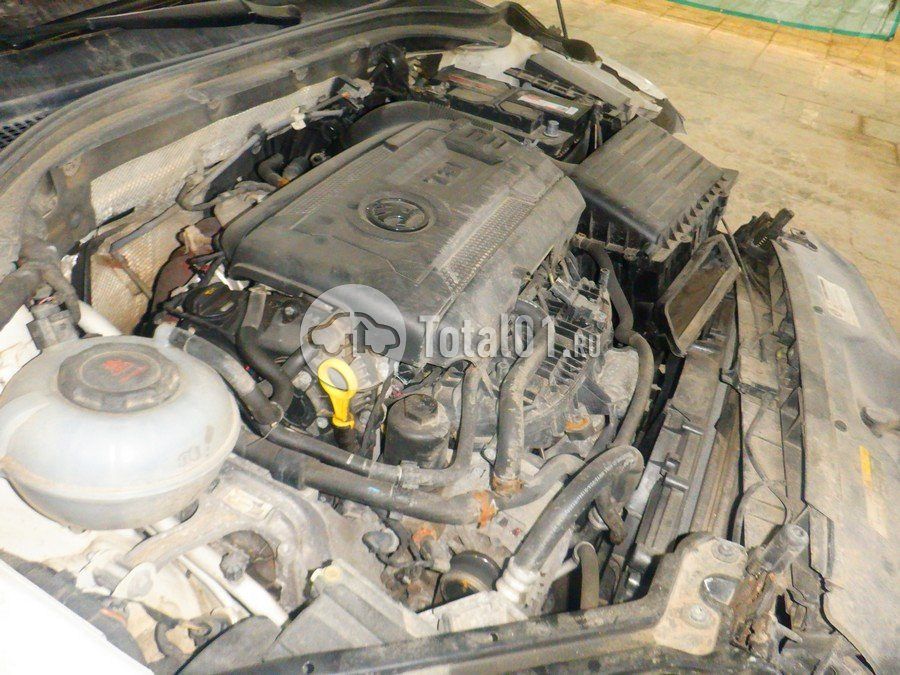 Фото Skoda Superb 244
