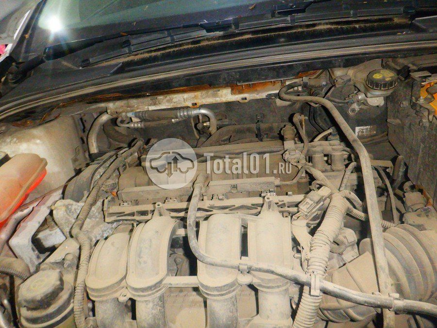 Фото Ford Focus 224