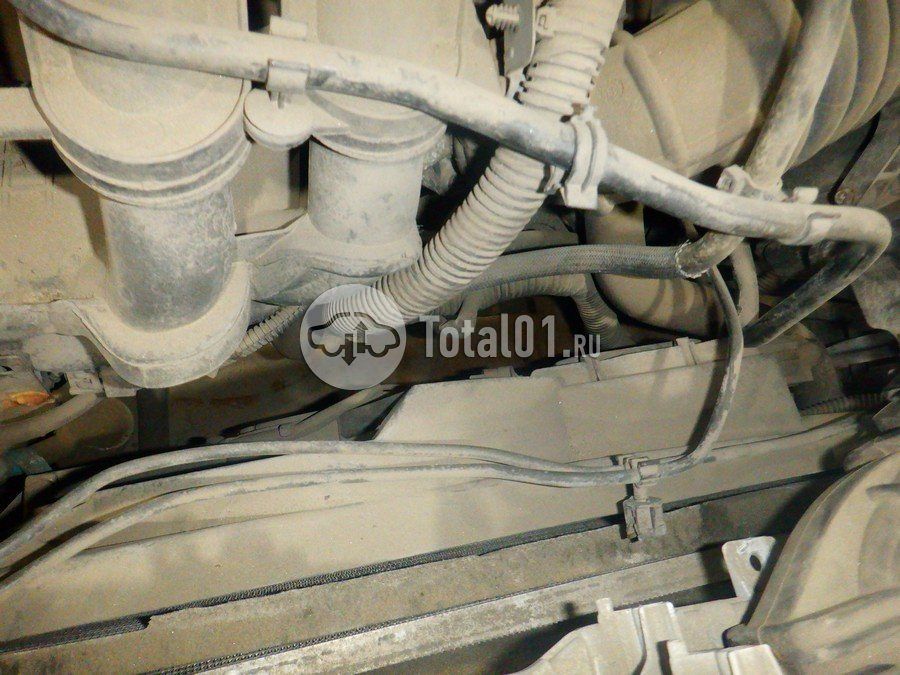 Фото Ford Focus 236