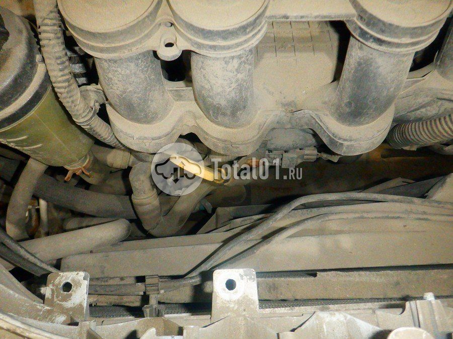Фото Ford Focus 238
