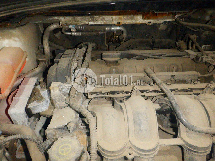 Фото Ford Focus 240
