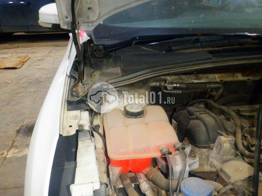 Фото Ford Focus 242