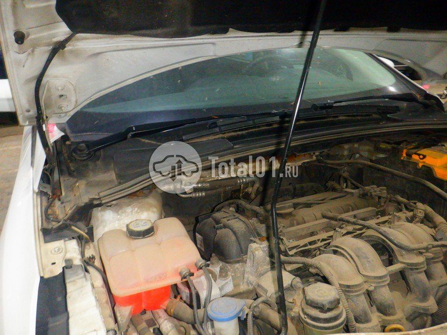 Фото Ford Focus 252