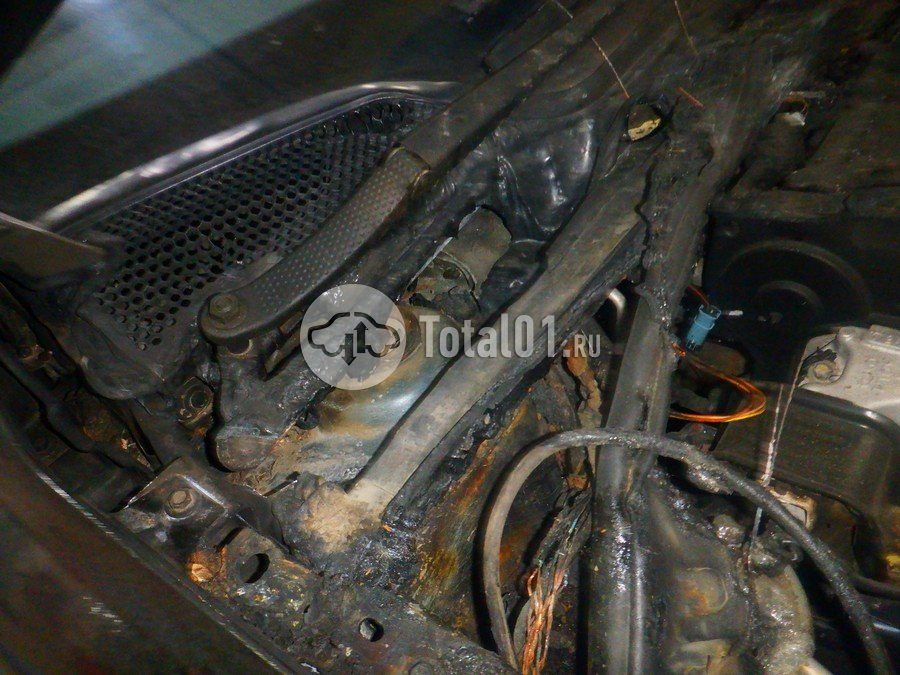 Фото Citroen C4 208