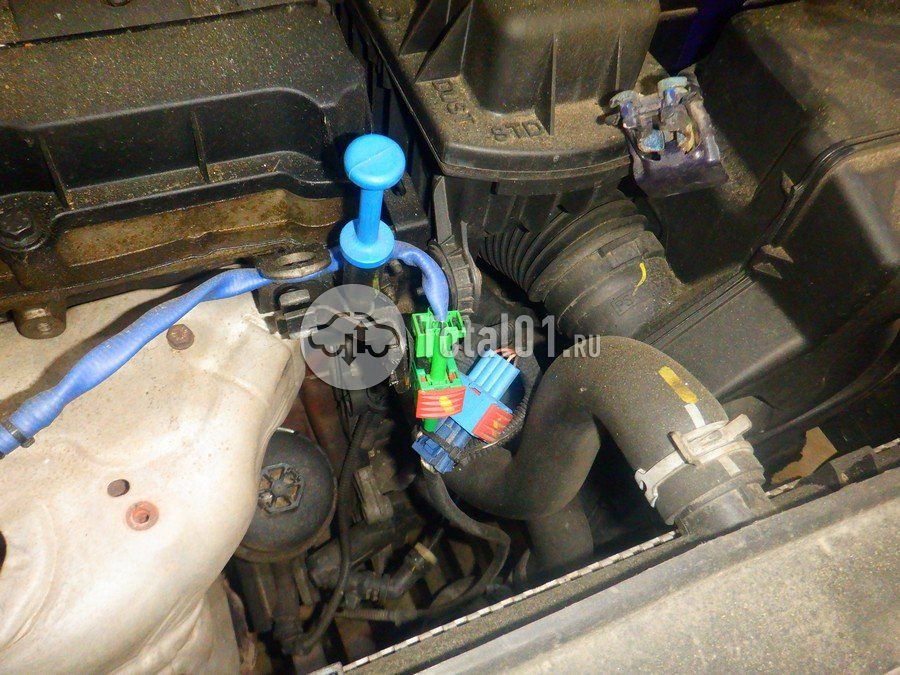 Фото Citroen C4 244