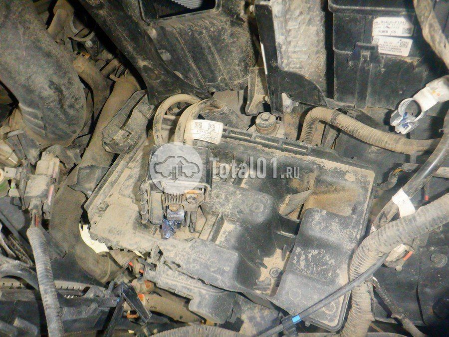 Фото KIA Sportage 246