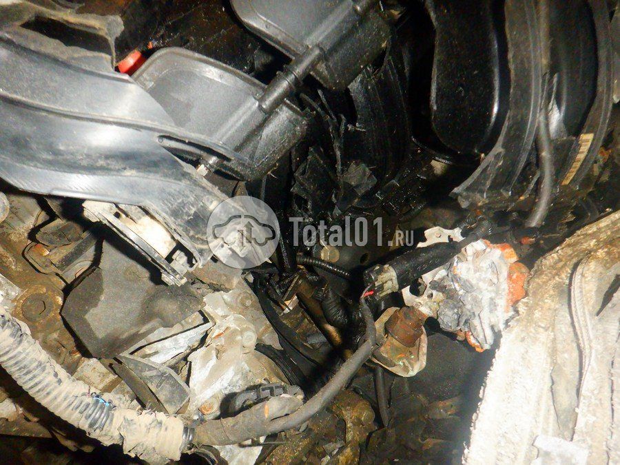 Фото KIA Sportage 330