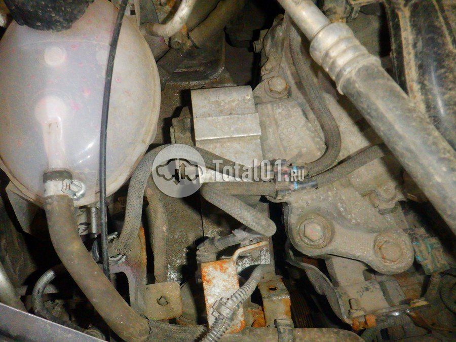 Фото Nissan Terrano 338