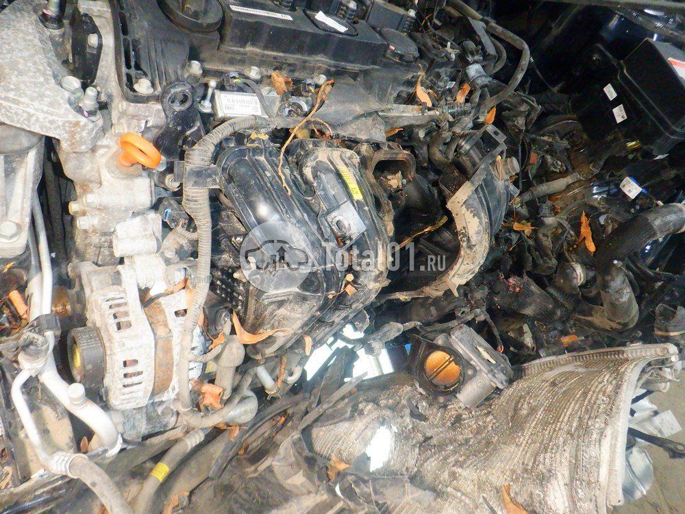 Фото KIA Sorento 144