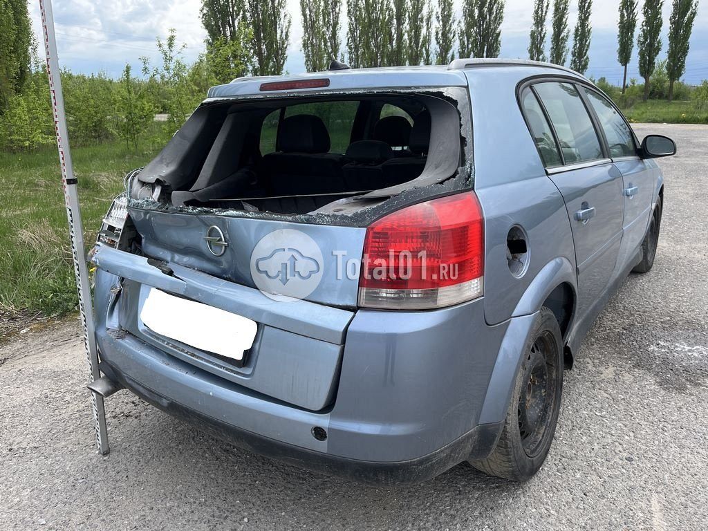 Фото Opel Signum 6