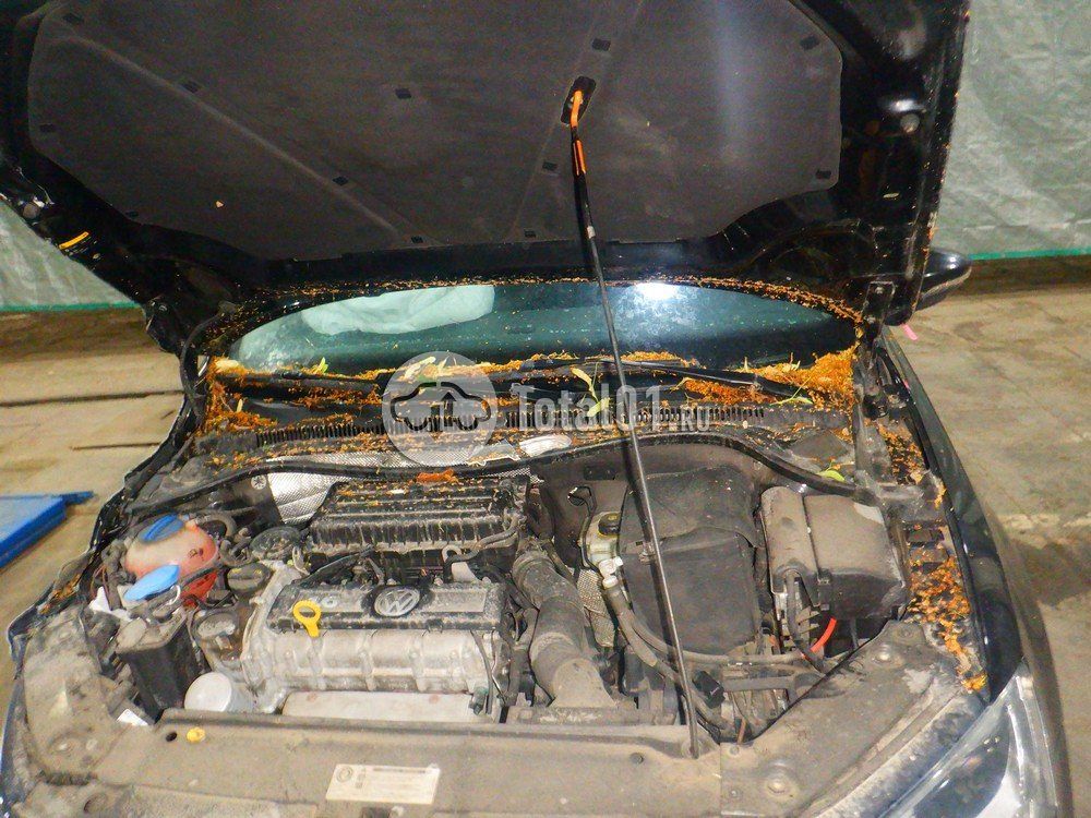 Фото Volkswagen Jetta 132