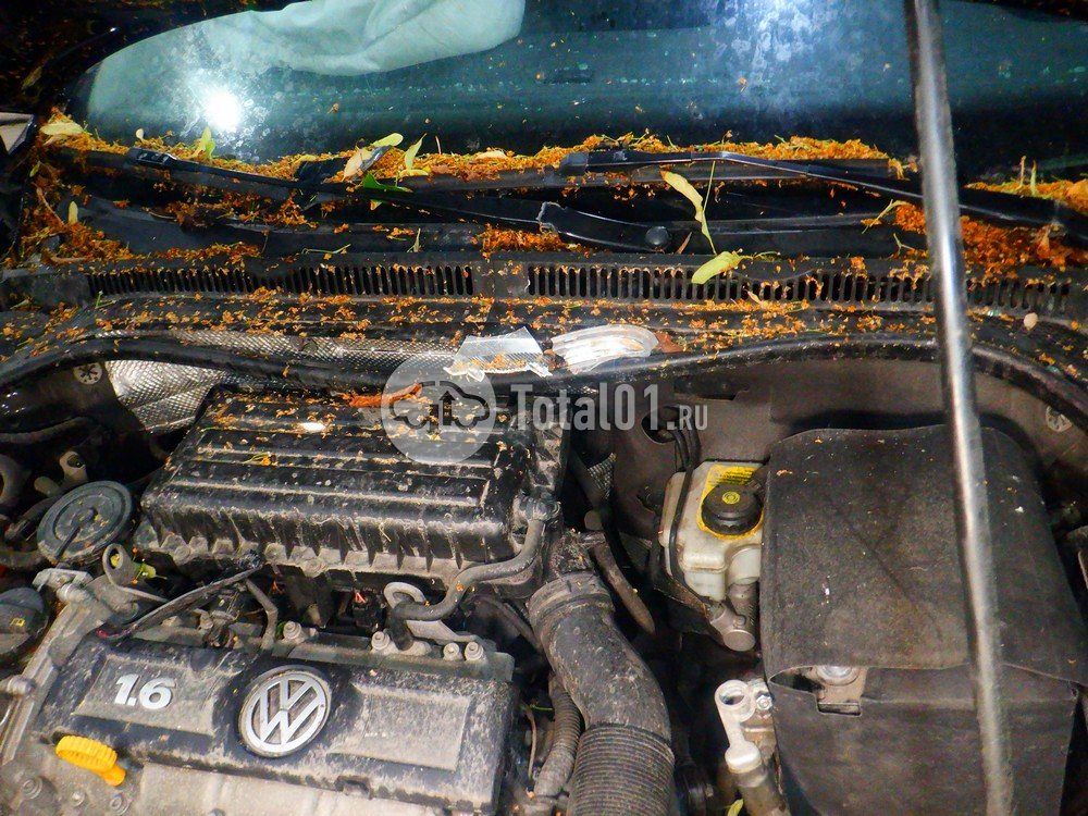 Фото Volkswagen Jetta 138