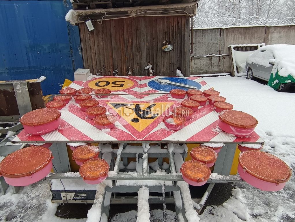 Фото TMDUP другая 18