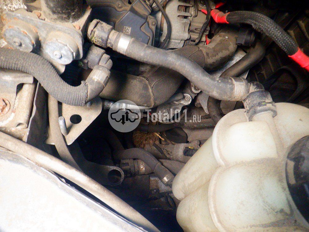 Фото BMW X5 102