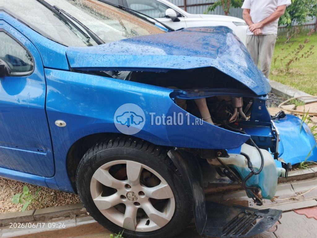 Фото Peugeot 307 14