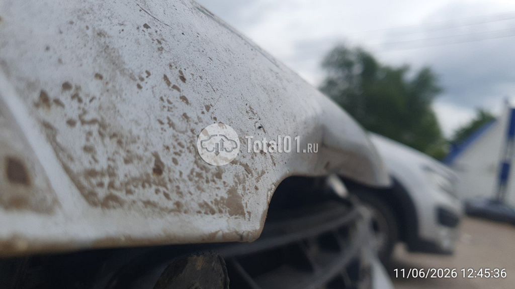 Фото Nissan Expert 16