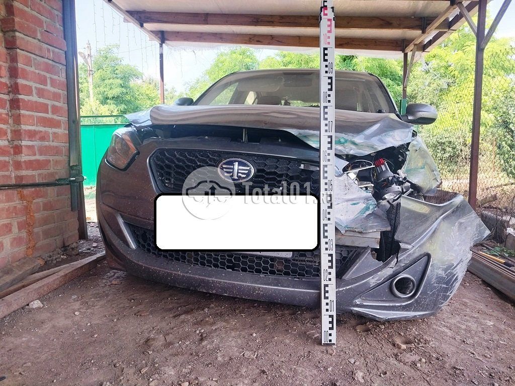 Фото FAW Oley 28