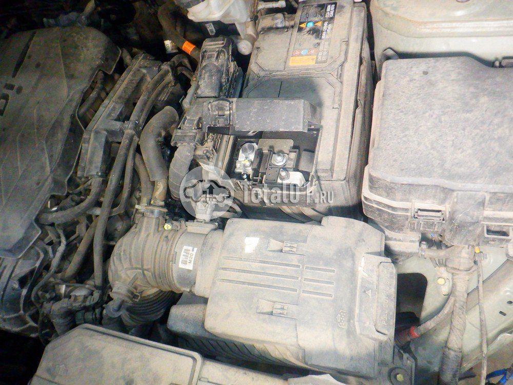 Фото KIA Sportage 164
