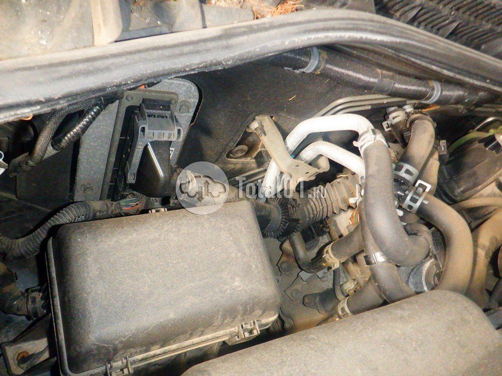 Фото Toyota Land Cruiser 216