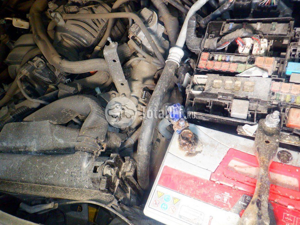 Фото Toyota Land Cruiser 232
