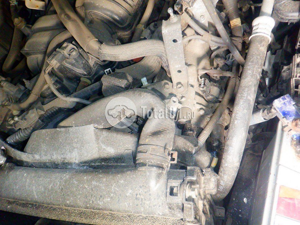 Фото Toyota Land Cruiser 236