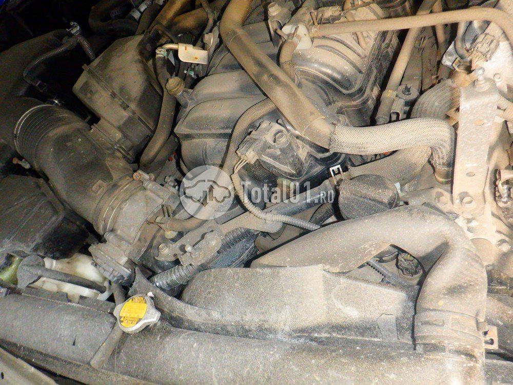 Фото Toyota Land Cruiser 238
