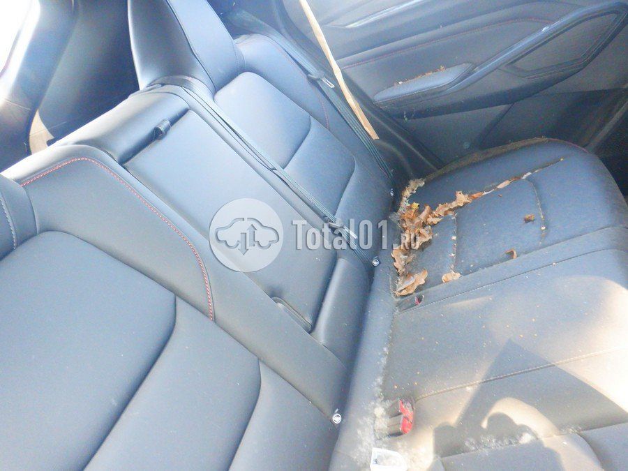 Фото Changan X5 Plus 50