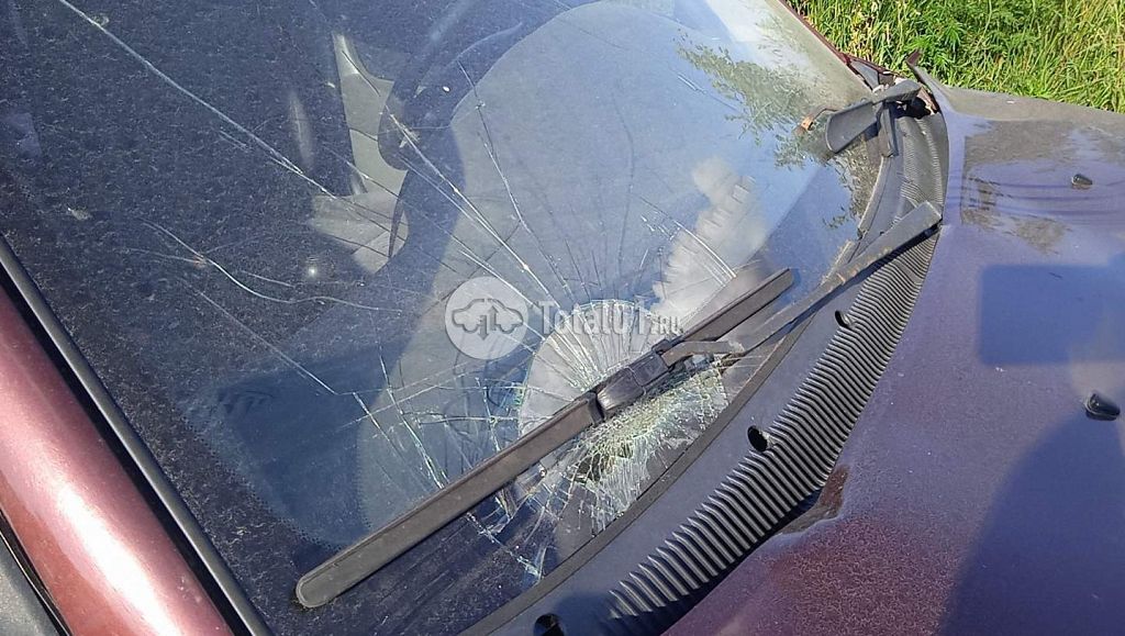 Фото KIA Spectra 18