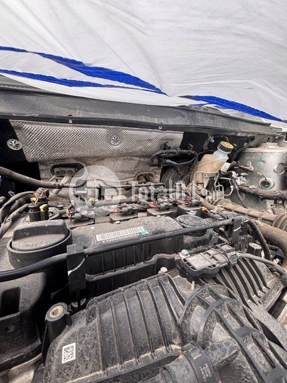 Фото XCITE X-Cross 8 182