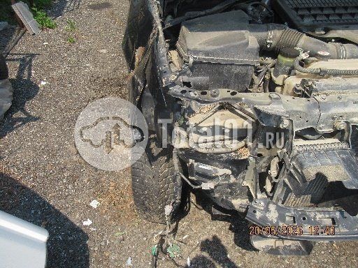 Фото Toyota Land Cruiser 144