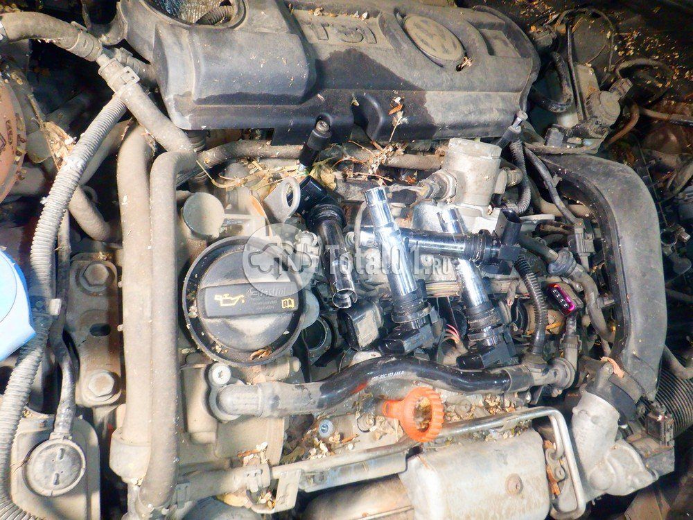 Фото Volkswagen Jetta 126
