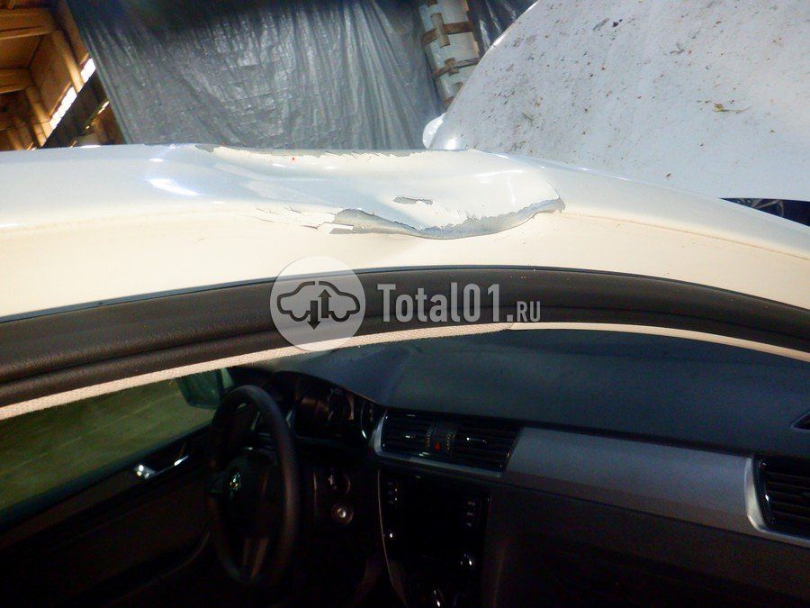 Фото Skoda Rapid 110